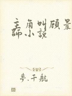 主角叫顾晨的律师小说
