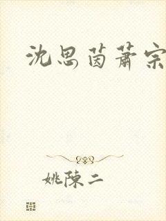 沈思茵萧宗翰
