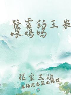 发霉的玉米可以喂鸡吗
