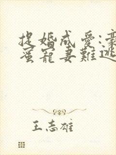 捉婚成爱:豪门蜜宠妻难逃