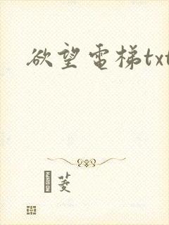 欲望电梯txt