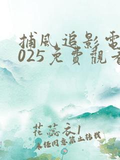 捕风追影电影2025免费观看高清