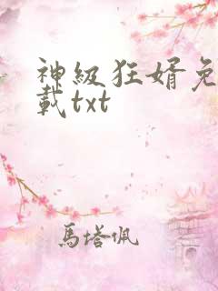 神级狂婿免费下载txt