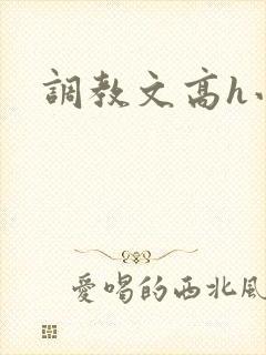 调教文高h小说