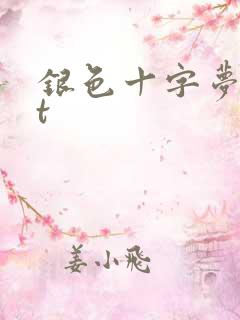 银色十字梦txt