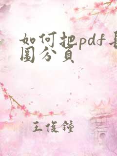 如何把pdf长图分页