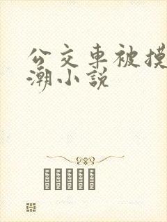 公交车被摸到高潮小说