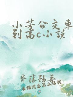 小芳公交车被做到高c小说