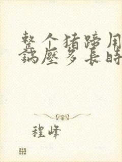 整个猪蹄用高压锅压多长时间
