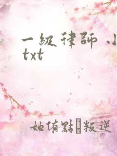 一级律师 小说 txt
