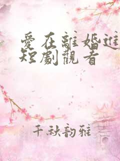 爱在离婚进行时短剧观看