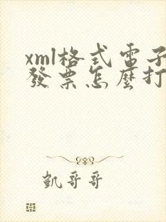 xml格式电子发票怎么打开