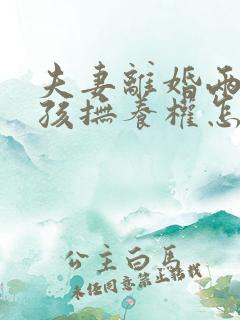 夫妻离婚两个小孩抚养权怎么判