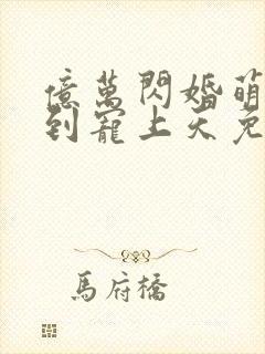 亿万闪婚萌妻嫁到宠上天免费