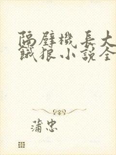 隔壁机长大叔是饿狼小说全文免费