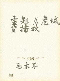 电影《危城》免费播放