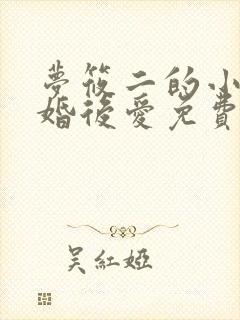 梦筱二的小说先婚后爱免费阅读