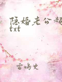 隐婚老公超给力txt