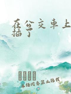 在公交车上被人插了