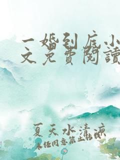 一婚到底小说全文免费阅读