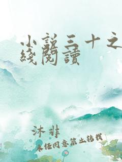 小说三十之妻在线阅读