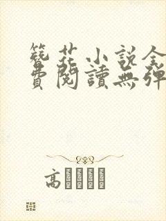 簪花小说全文免费阅读无弹窗