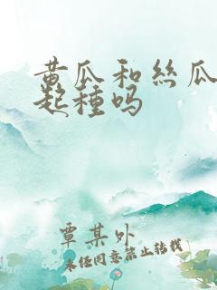 黄瓜和丝瓜能一起种吗