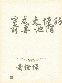 穿成大佬的私奔前妻 池陌