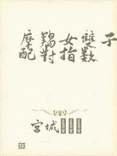 摩羯女双子男座配对指数
