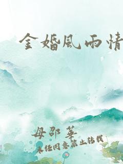 金婚风雨情下载
