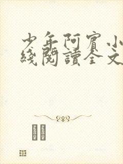 少年阿宾小说在线阅读全文
