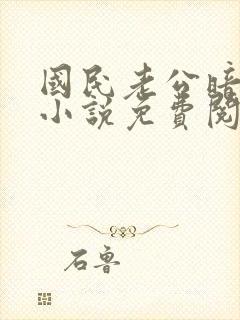 国民老公暗恋我小说免费阅读