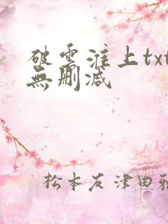 破云淮上txt无删减