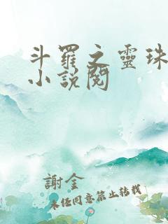 斗罗之灵珠神剑小说阅