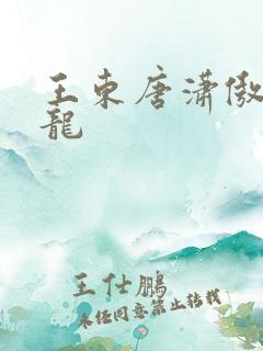 王东唐潇傲世潜龙