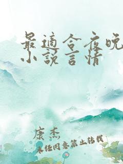 最适合夜晚看的小说言情
