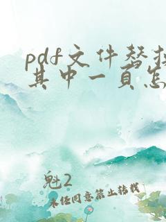 pdf文件替换其中一页怎么弄