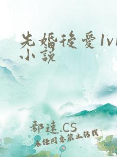 先婚后爱1v1小说