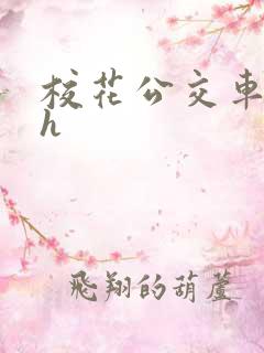 校花公交车hlh