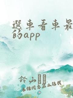 选车看车最好用的app