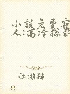 小说免费宠婚撩人:高冷总裁默默爱