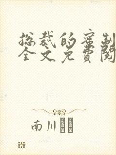 总裁的蜜制爱人全文免费阅读
