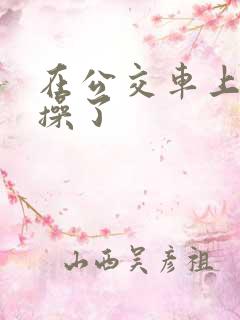在公交车上被人操了