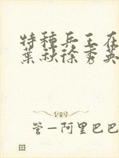 特种兵王在山村叶秋徐秀英