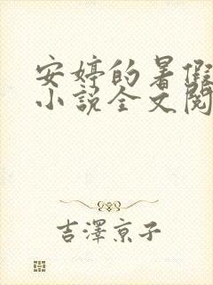 安婷的暑假幸福小说全文阅读