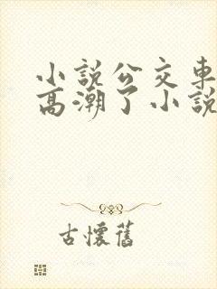 小说公交车被上高潮了小说
