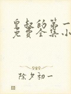皇叔的第一宠妃免费全集小说