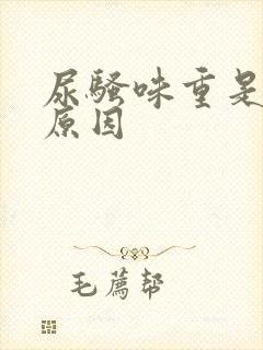 尿骚味重是什么原因