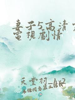 妻子5高清完整电视剧情
