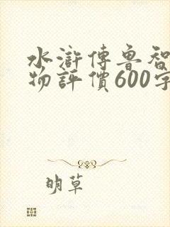 水浒传鲁智深人物评价600字